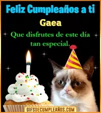 GIF Gato meme Feliz Cumpleaños Gaea