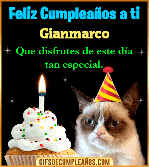 Gato meme Feliz Cumpleaños Gianmarco