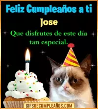 GIF Gato meme Feliz Cumpleaños Jose