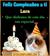 Gato meme Feliz Cumpleaños Lara