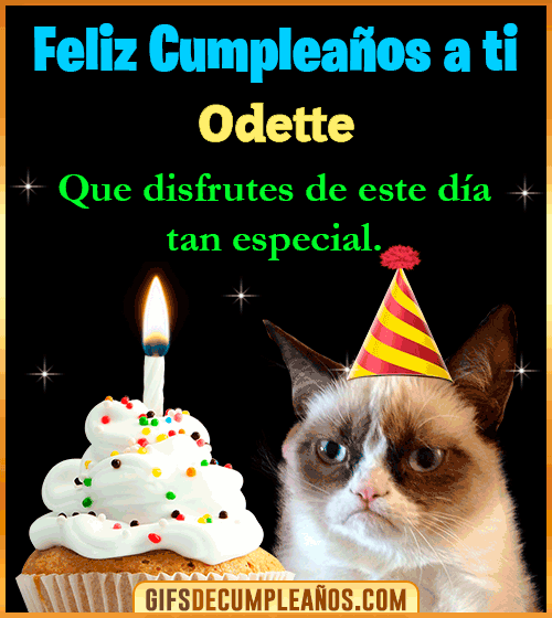 Gato meme Feliz Cumpleaños Odette