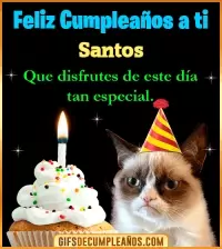 Gato meme Feliz Cumpleaños Santos