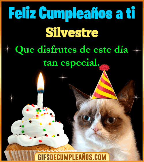 Gato meme Feliz Cumpleaños Silvestre