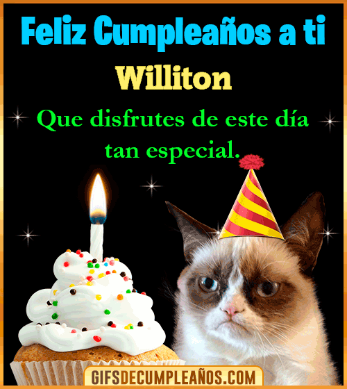 Gato meme Feliz Cumpleaños Williton