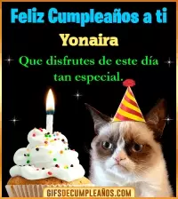 GIF Gato meme Feliz Cumpleaños Yonaira